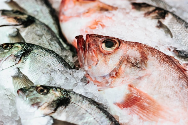 Should You Buy Seafood Online