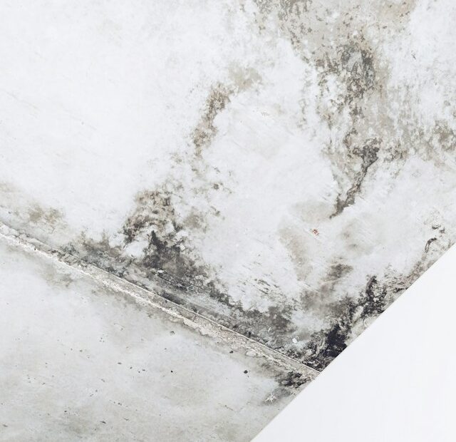 Could Poor Ventilation Be the Real Reason Mold Keeps Appearing in Your Condo